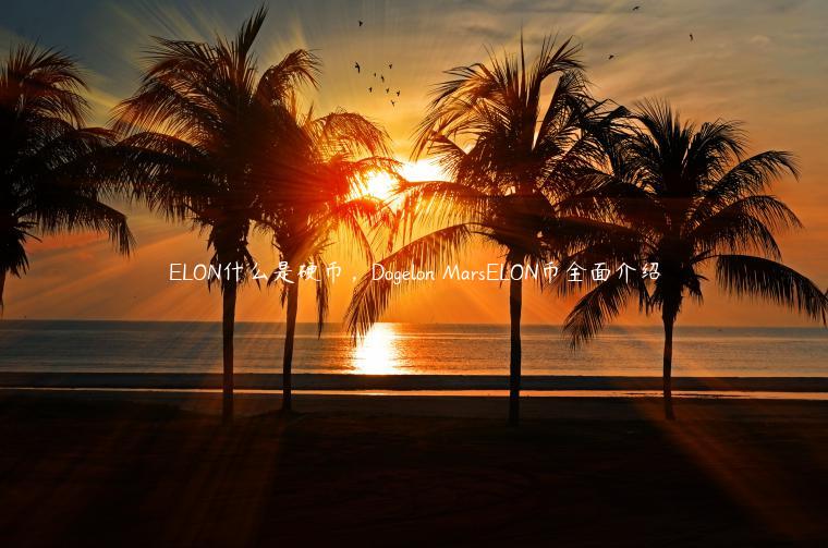 LON什么是硬币，Doglon MarsLON币全面介绍-第1张图片-欧易下载