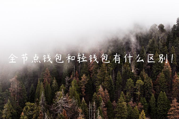 全节点钱包和轻钱包有什么区别！-第1张图片-欧易下载