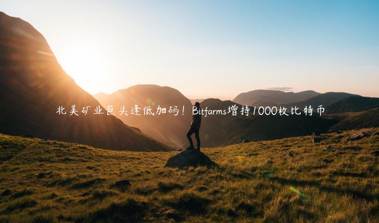 北美矿业巨头逢低加码！Bitfarms增持1000枚比特币-第1张图片-欧易下载