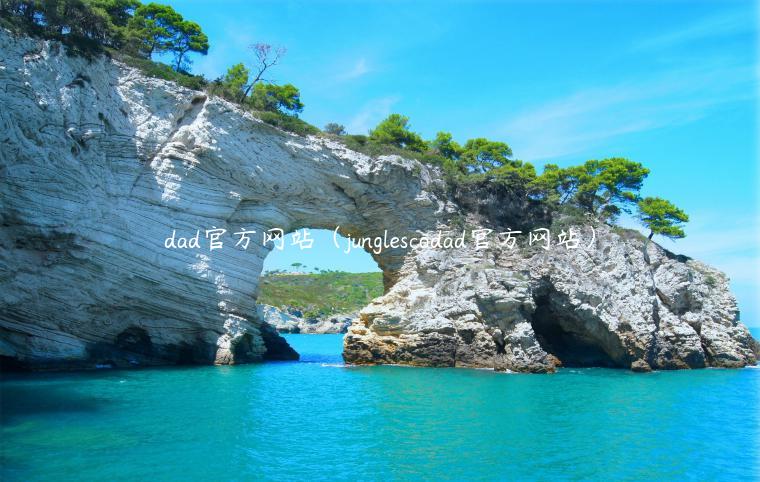 dad官方网站（junglscodad官方网站）-第1张图片-欧易下载