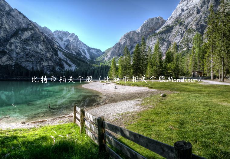 比特币相关个股（比特币相关个股Mandsaur）-第1张图片-欧易下载