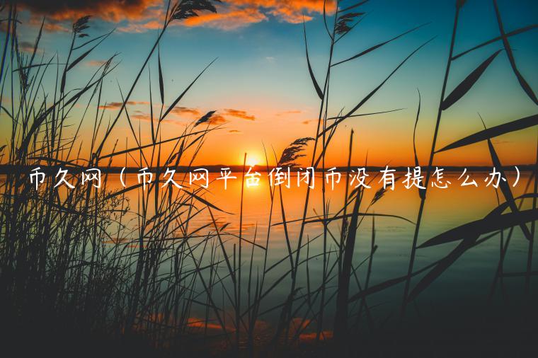 币久网（币久网平台倒闭币没有提怎么办）-第1张图片-欧易下载