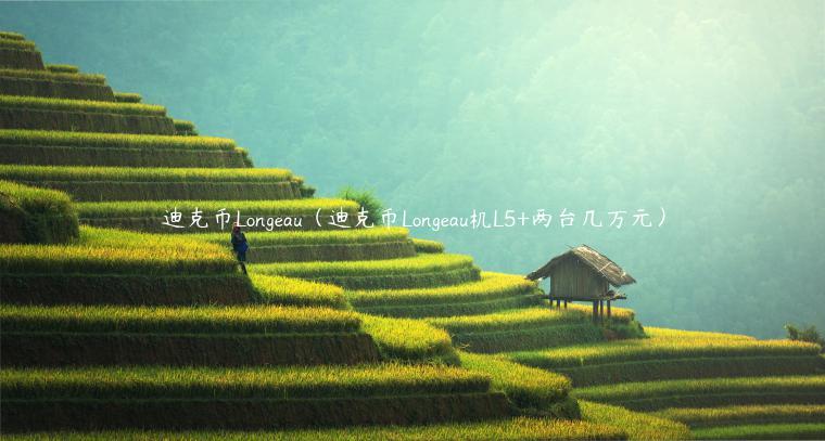 迪克币Longau（迪克币Longau机L5+两台几万元）-第1张图片-欧易下载