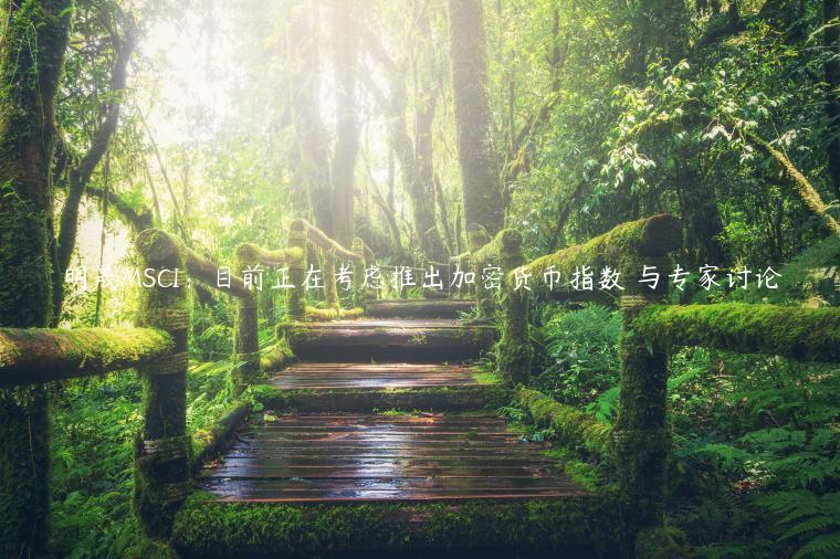 明晟MSCI：目前正在考虑推出加密货币指数 与专家讨论-第1张图片-欧易下载