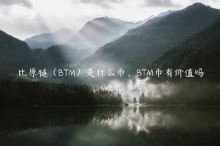 比原链（BTM）是什么币，BTM币有价值吗