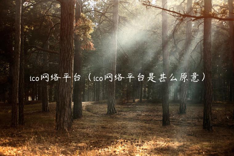 ico网络平台（ico网络平台是甚么原意）-第1张图片-欧易下载