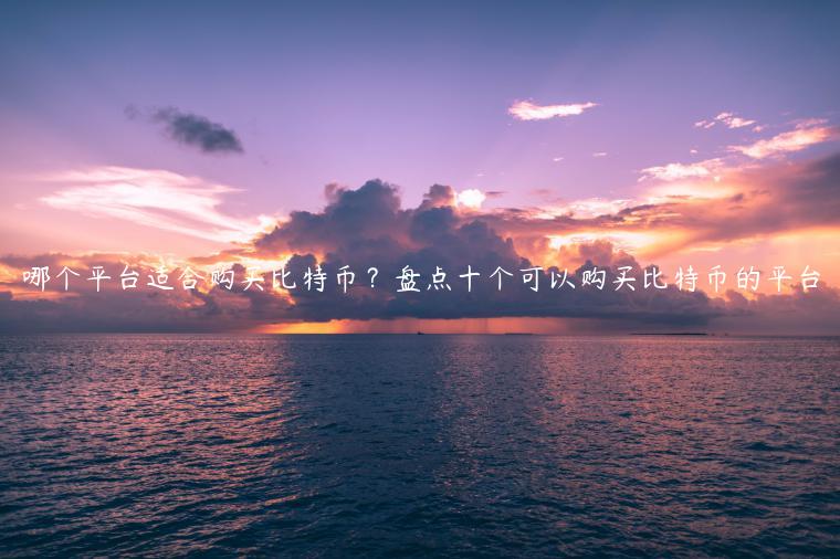 哪个平台适合购买比特币？盘点十个可以购买比特币的平台-第1张图片-欧易下载
