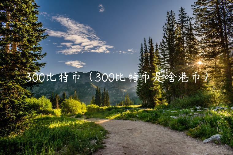 300比特币（300比特币是啥港币）-第1张图片-欧易下载