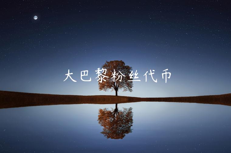 大巴黎粉丝代币-第1张图片-欧易下载