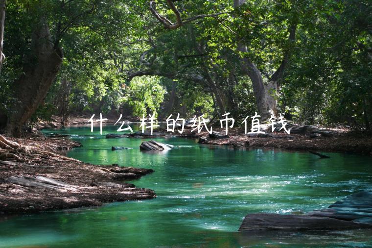 什么样的纸币值钱-第1张图片-欧易下载