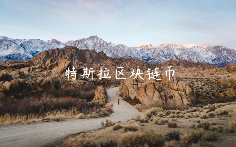特斯拉区块链币-第1张图片-欧易下载