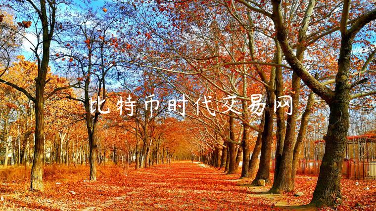 比特币时代交易网-第1张图片-欧易下载