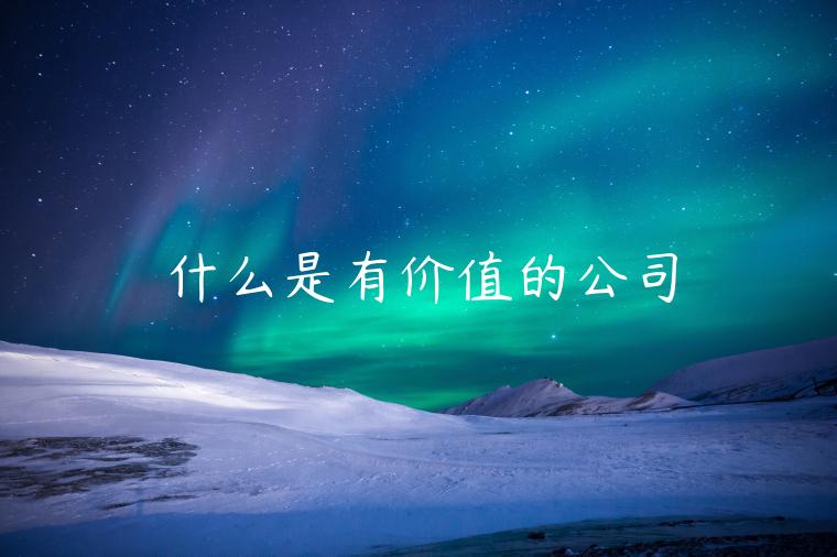 什么是有价值的公司-第1张图片-欧易下载