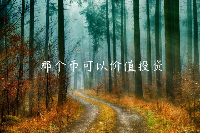 那个币可以价值投资-第1张图片-欧易下载