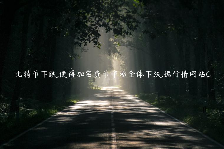 比特币下跌,使得加密货币市场全体下跌,据行情网站C-第1张图片-欧易下载