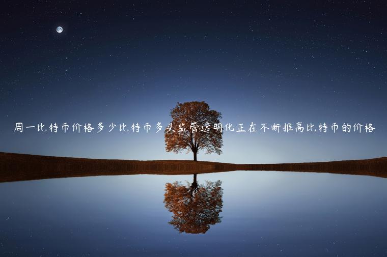 周一比特币价格多少比特币多头监管透明化正在不断推高比特币的价格-第1张图片-欧易下载