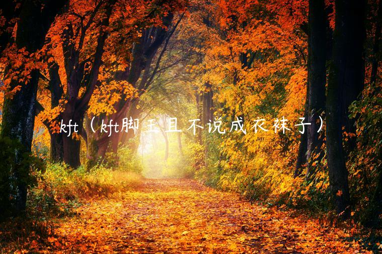 kft（kft脚王且不说成衣袜子）-第1张图片-欧易下载