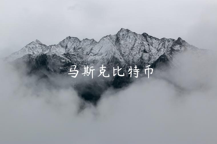 马斯克比特币-第1张图片-欧易下载