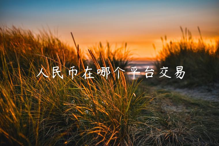 人民币在哪个平台交易-第1张图片-欧易下载