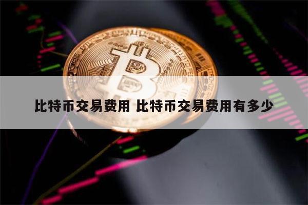 1比特币等于多少人民币2022年 买1000块钱比特币多少手续费-第1张图片-欧易下载