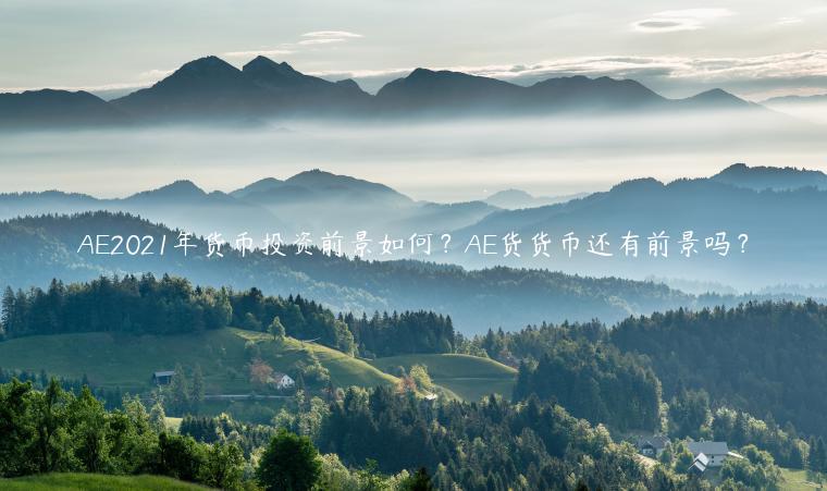 A2021年货币投资前景如何？A货货币还有前景吗？-第1张图片-欧易下载