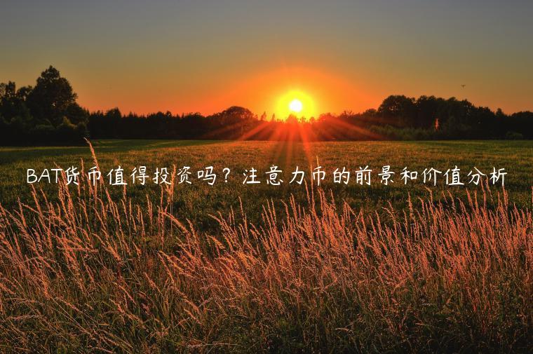 BAT货币值得投资吗？注意力币的前景和价值分析-第1张图片-欧易下载
