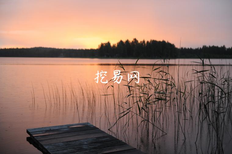 挖易网-第1张图片-欧易下载