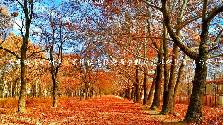 蜜蜂链追根溯源（蜜蜂链追根溯源查假货是北欧国家证书吗）-第1张图片-欧易下载