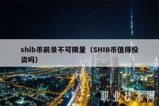shib币前景不可限量（SHIB币值得投资吗