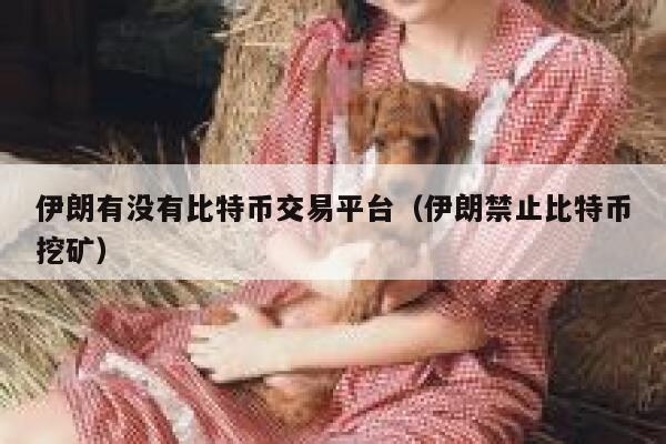 伊朗有没有比特币交易平台（伊朗禁止比特币挖矿）-第1张图片-欧易下载