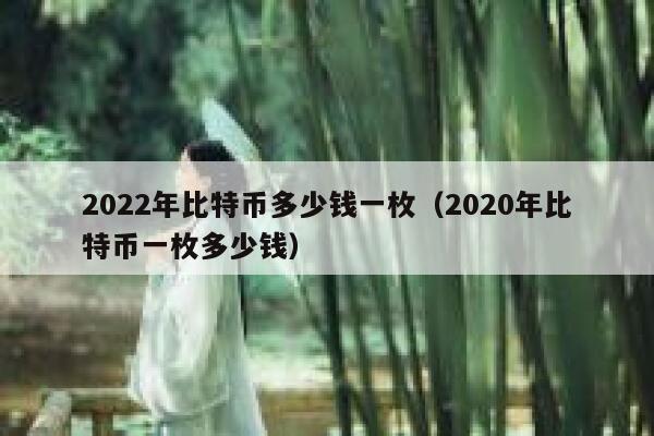 2022年比特币多少钱一枚（2020年比特币一枚多少钱）-第1张图片-欧易下载