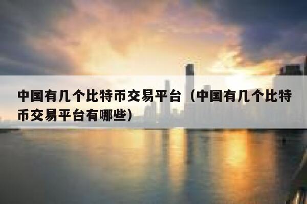 中国有几个比特币交易平台（中国有几个比特币交易平台有哪些）-第1张图片-欧易下载