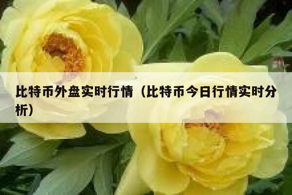 比特币外盘实时行情（比特币今日行情实时分析）-第1张图片-欧易下载