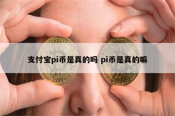 pi币是真的吗 pi币有人投资吗-第1张图片-欧易下载