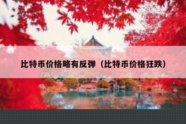比特币价格略有反弹（比特币价格狂跌）-第1张图片-欧易下载