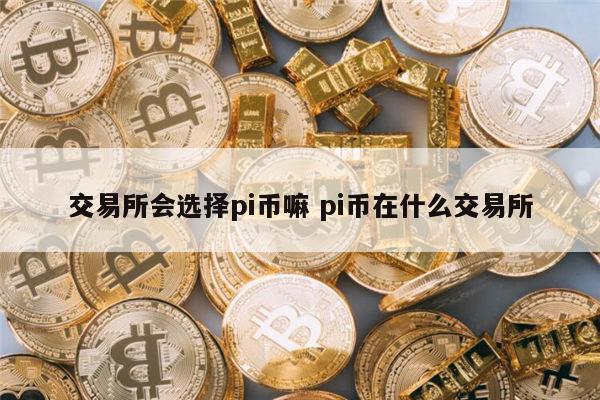 交易所会选择pi币嘛 pi币在哪个交易所-第1张图片-欧易下载
