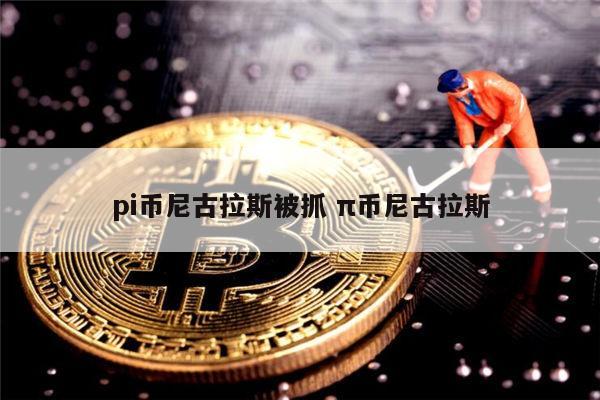 pi币尼古拉斯被抓了嘛 π币是否合法-第1张图片-欧易下载