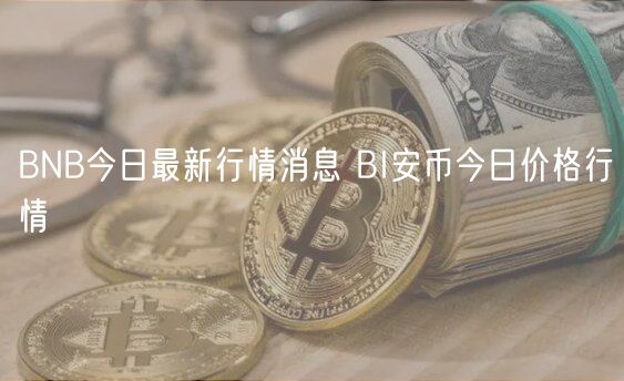 BNB今日最新行情消息 BI安币今日价格行情-第1张图片-欧易下载