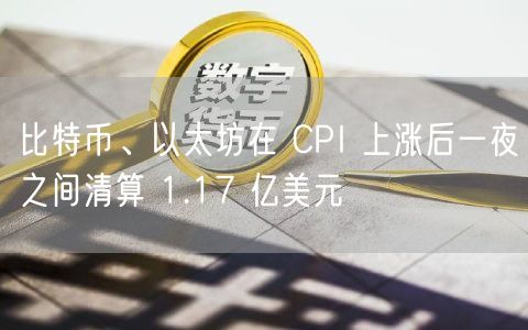 比特币、以太坊在 CPI 上涨后一夜之间清算 1.17 亿美元-第1张图片-欧易下载