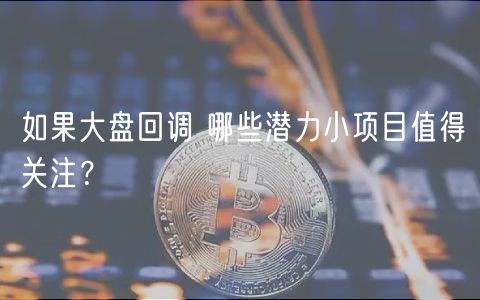 如果大盘回调 哪些潜力小项目值得关注？-第1张图片-欧易下载
