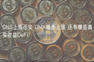 GNS上线币安 GM稳步上涨 还有哪些真实收益DFi