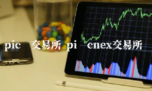 pic币交易所 pi币cnex交易所-第1张图片-欧易下载