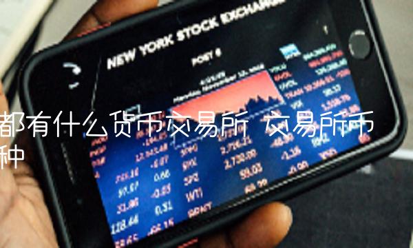 都有什么货币交易所-第1张图片-欧易下载