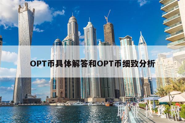 OPT币具体解答和OPT币细致分析-第1张图片-欧易下载