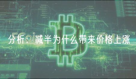 分析：减半为什么带来价格上涨-第1张图片-欧易下载