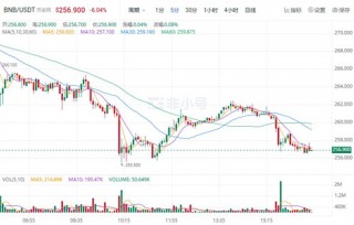 币安币最新价格 币安币今日最新行情消息