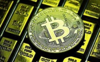 维卡币onlif777(维卡币onlif视频2021年7月)