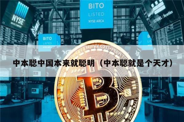 中本聪中国本来就聪明（中本聪就是个天才）-第1张图片-欧易下载
