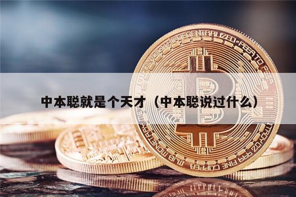 中本聪就是个天才（中本聪说过什么）-第1张图片-欧易下载