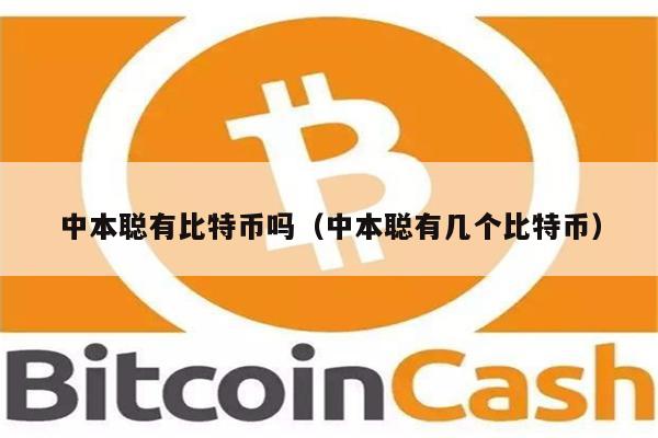 中本聪有比特币吗（中本聪有几个比特币）-第1张图片-欧易下载